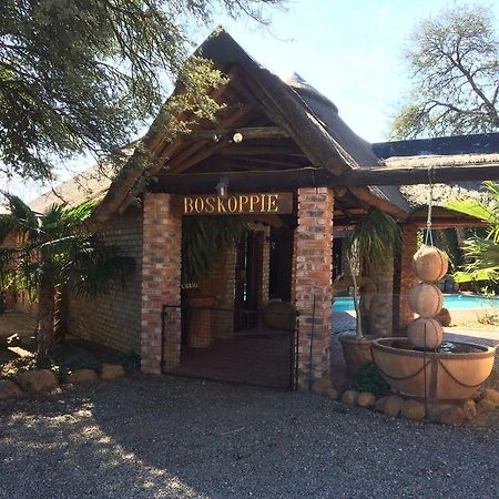Boskoppie Lion & Tiger Reserve Kroonstad Luaran gambar
