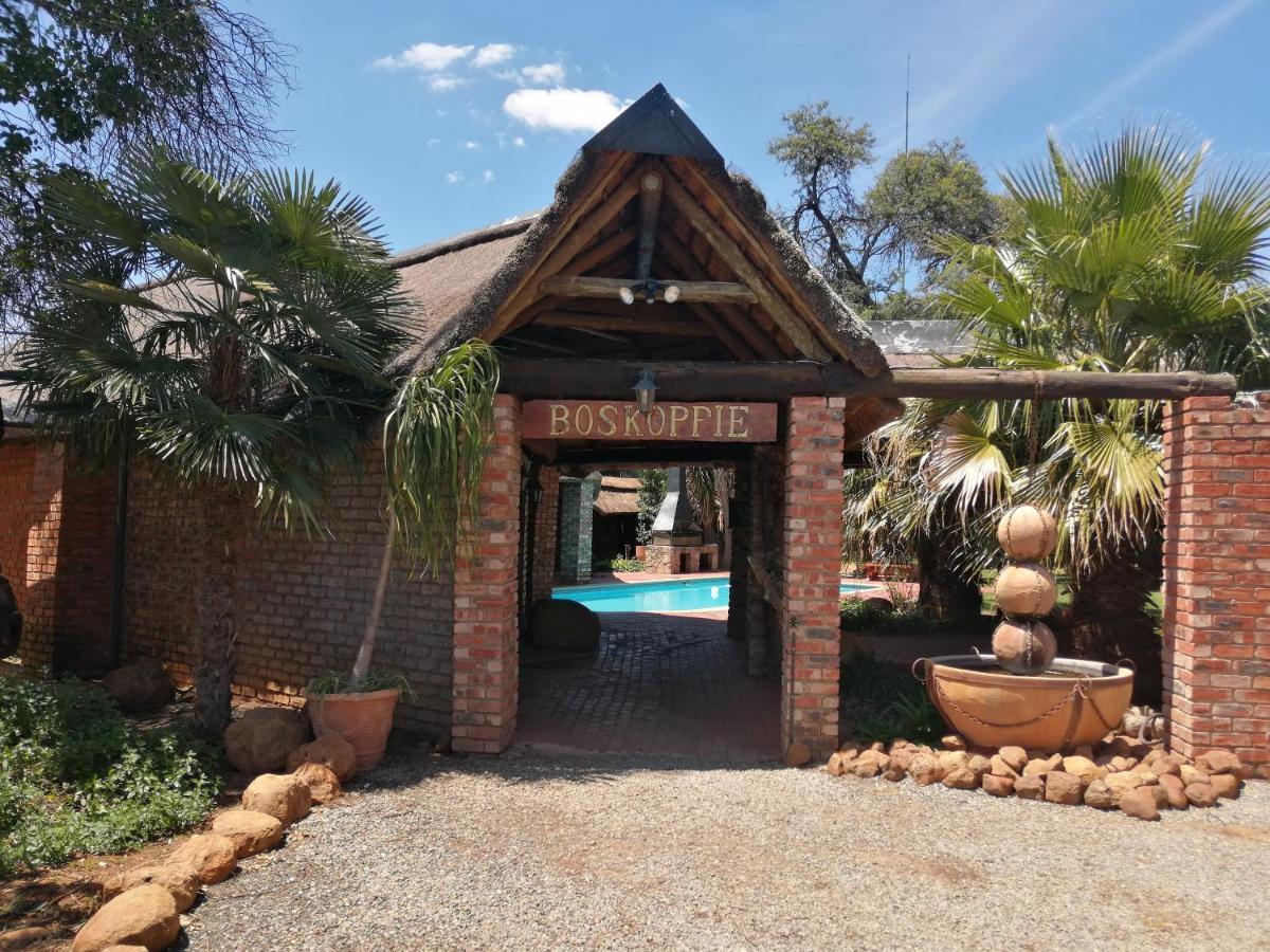 Boskoppie Lion & Tiger Reserve Kroonstad Luaran gambar