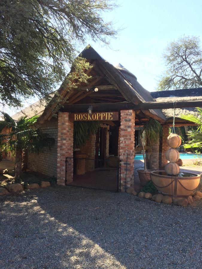 Boskoppie Lion & Tiger Reserve Kroonstad Luaran gambar